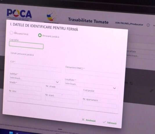 FERMIERII VOR LUCRA CU APLICAȚIA CARE NUMĂRĂ TOMATELE