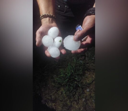 FURTUNA DE IERI NU A AFECTAT CULTURILE AGRICOLE