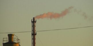 ŞTIRBU SOLICITĂ REINTRODUCEREA PENSIONĂRII ANTICIPATE CU 2 ANI