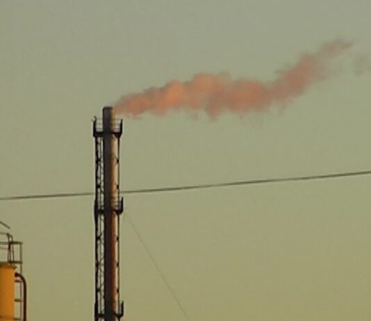 ŞTIRBU SOLICITĂ REINTRODUCEREA PENSIONĂRII ANTICIPATE CU 2 ANI