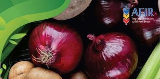 Sprijin pentru investiții în sectorul legume și cartofi!