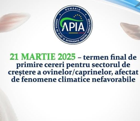 21 martie 2025 – termen final de primire cereri pentru sectorul de creștere a ovinelor/caprinelor, afectat de fenomene climatice nefavorabile