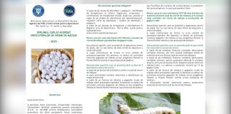 Sprijinul cuplat acordat crescătorilor de viermi de mătase – Campania 2025