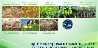 APIA a demarat autorizarea la plată a ANT-urilor aferente anului de cerere 2024
