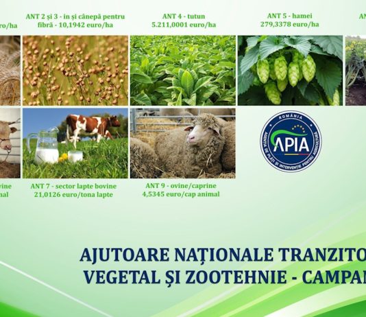 APIA a demarat autorizarea la plată a ANT-urilor aferente anului de cerere 2024
