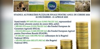 Stadiul autorizării plăților finale aferente anului de cerere 2024