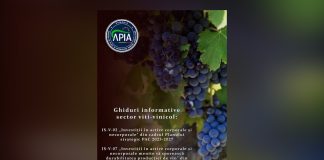 Două noi Ghiduri informative pentru sectorul viti-vinicol