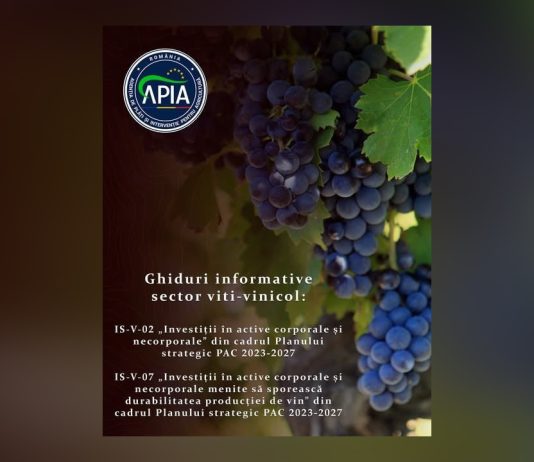 Două noi Ghiduri informative pentru sectorul viti-vinicol