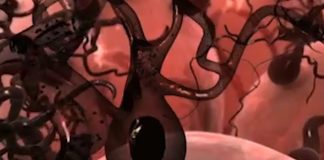 MEDICII RECOMANDĂ O DERMATOSCOPIE PE AN