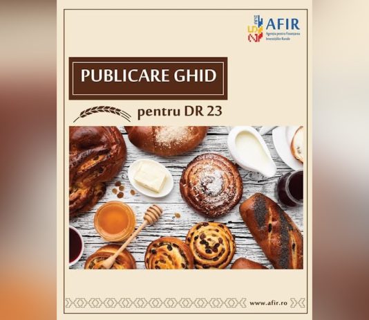 Start pregătirilor pentru DR-23!