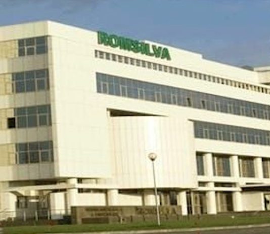 𝐆𝐮𝐯𝐞𝐫𝐧𝐮𝐥 𝐝𝐚̆ 𝐮𝐧𝐝𝐚̆ 𝐯𝐞𝐫𝐝𝐞 𝐫𝐞𝐟𝐨𝐫𝐦𝐞𝐢 𝐑𝐨𝐦𝐬𝐢𝐥𝐯𝐚: 𝐭𝐫𝐚𝐧𝐬𝐩𝐚𝐫𝐞𝐧𝐭̦𝐚̆, 𝐜𝐨𝐧𝐭𝐫𝐨𝐥 𝐬̦𝐢 𝐩𝐫𝐨𝐟𝐞𝐬𝐢𝐨𝐧𝐚𝐥𝐢𝐳𝐚𝐫𝐞