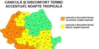 C𝐚𝐧𝐢𝐜𝐮𝐥𝐚̆ 𝐢̂𝐧 𝐦𝐚𝐢 𝐦𝐮𝐥𝐭𝐞 𝐣𝐮𝐝𝐞𝐭̦𝐞 𝐝𝐢𝐧 𝐭̦𝐚𝐫𝐚̆