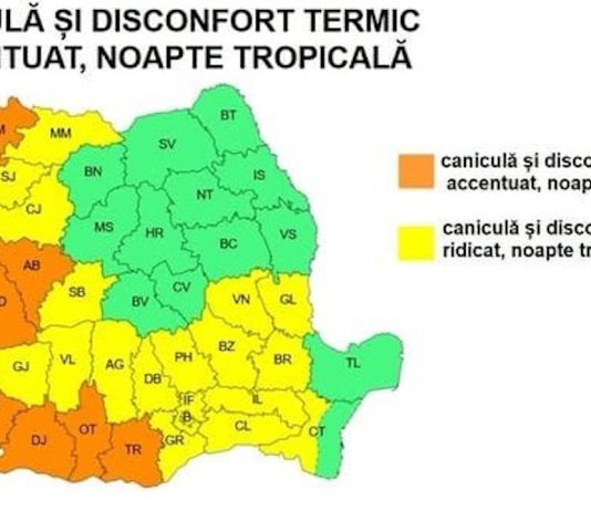 C𝐚𝐧𝐢𝐜𝐮𝐥𝐚̆ 𝐢̂𝐧 𝐦𝐚𝐢 𝐦𝐮𝐥𝐭𝐞 𝐣𝐮𝐝𝐞𝐭̦𝐞 𝐝𝐢𝐧 𝐭̦𝐚𝐫𝐚̆