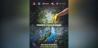 Let’s Do It, Romania! 15 ani de curățenie, 1 zi de mobilizare națională