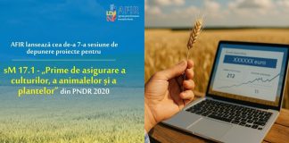 Interes foarte mare pentru Submăsura 17.1!