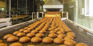 Modificarea și completarea Programului național INVESTALIM (2023–2026)