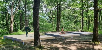 PĂDUREA STREHAREȚI, TRANSFORMARE SPECTACULOASĂ