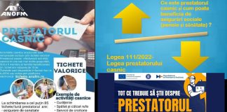 REGLEMENTAREA ACTIVITĂȚII PRESTATORULUI CASNIC