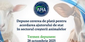 APIA primește Cererile de plată pentru acordarea ajutorului de stat pentru creșterea animalelor