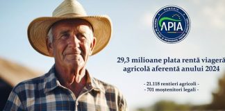 Peste 29,3 milioane lei autorizați la plată pentru renta viageră agricolă aferentă Campaniei 2024