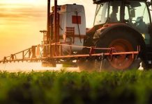 Ce aduce nou ordonanta privind produsele de protectie a plantelor