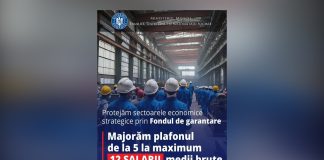 Se extinde protecția salariaților în caz de insolvență prin modificarea Legii nr. 200/2006