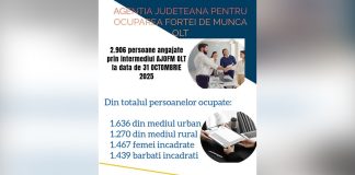 Mii de persoane angajate prin intermediul AJOFM Olt