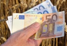 România a ajuns la un grad de absorbție de peste 95% pentru PNDR