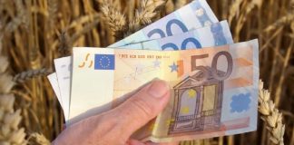 România a ajuns la un grad de absorbție de peste 95% pentru PNDR