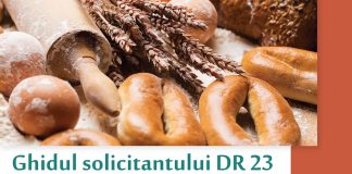 Ghidul solicitantului final pentru DR-23