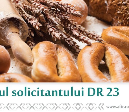 Ghidul solicitantului final pentru DR-23