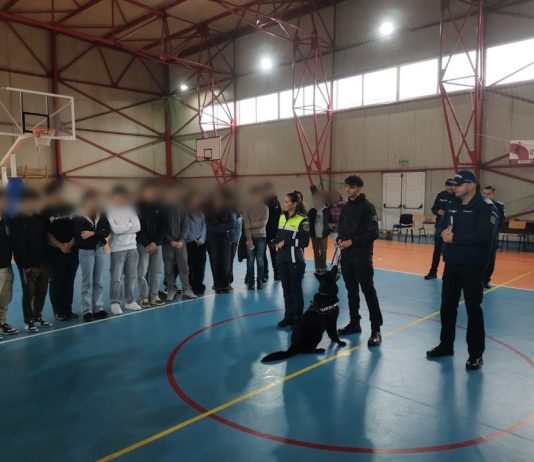 ACTIVITĂȚI PREVENTIVE PENTRU MENȚINEREA SIGURANȚEI ȘCOLARE