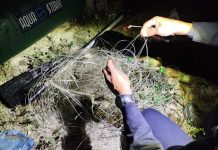 254 de sancțiuni și aproape 150 de misiuni pentru combaterea braconajului piscicol in Olt