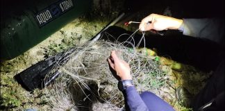 254 de sancțiuni și aproape 150 de misiuni pentru combaterea braconajului piscicol in Olt