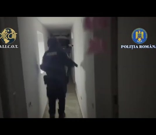 Amplă operațiune a Poliției Române și D.I.I.C.O.T. pentru combaterea Criminalității organizate