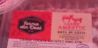 Comandamentul de Iarnă 2025: ANPC, în control în zonele turistice