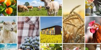 Vești importante pentru fermieri: Politica Agricolă Comună va fi simplificată începând cu 1 ianuarie 2026