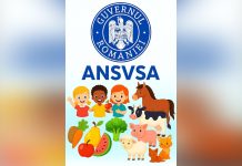 Guvernul României sprijină activitatea ANSVSA pentru protejarea sănătății animalelor și siguranța alimentelor