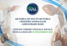 15 decembrie – Termen-limită pentru cererile inițiale de ajutor de stat în sectorul creşterii animalelor