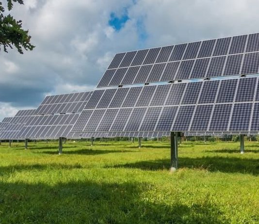 Proiect de OUG privind modificarea și completarea Legii nr. 268/2001