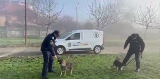 Inspectoratul de Jandarmi Județean Olt își completează structura canină