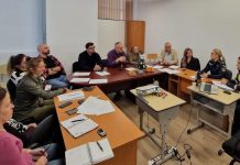 Violența domestică – de la analiză la soluții