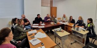 Violența domestică – de la analiză la soluții