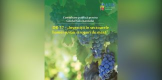 Consultare publică pentru finanțarea investițiilor în sectoarele strugurilor de masă și/ sau hamei