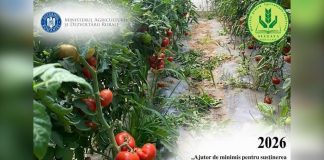 AJUTOR DE MINIMIS PENTRU SUSTINEREA PRODUCTIEI DE LEGUME CULTIVATE IN SPATII PROTEJATE – 2026