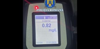 LA VOLAN, BĂUT ȘI FĂRĂ PERMIS