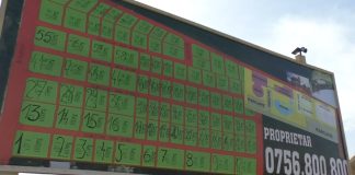 COMPLEXUL REZIDENȚIAL „GEORGE ARGEȘANU” – O NOUĂ ETAPĂ DE DEZVOLTARE