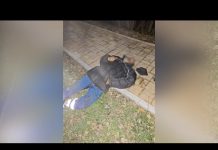 Intervenție promptă a unui jandarm aflat în timpul liber