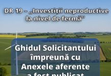 DR 19 – „Investiții neproductive la nivel de fermă”