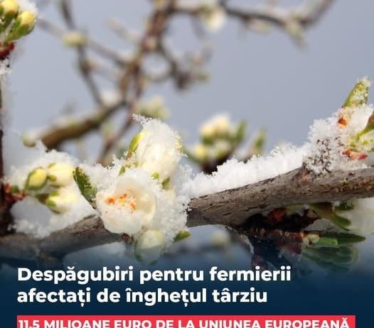 Sprijin de urgență pentru pomicultori